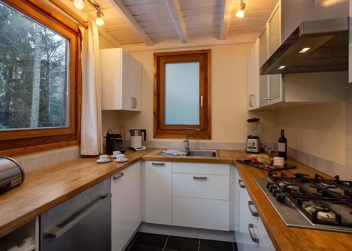 Chalet Des Favrands *